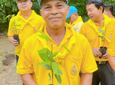 กิจกรรมปลูกต้นไม้เฉลิมพระเกียรติพระบาทสมเด็จพระเจ้าอยู่หัว ... พารามิเตอร์รูปภาพ 1